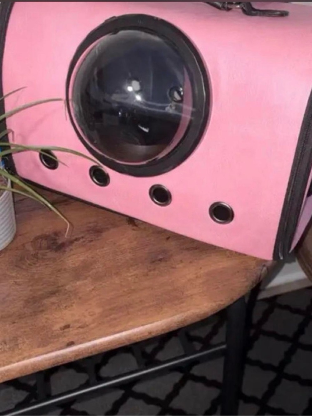 Pink Bubble Window Pet Carrier Bag - Brand Unspecified